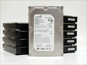 Seagate 3.5インチHDD ST3320820AS 320GB SATA 10台セット【AB】#12973