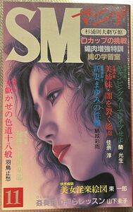 SMマニア　1989年 11月 蘭光生　結城彩雨 佳奈淳 　羽鳥止愁　五代友義　前田寿按　楡畑雄二　椋陽児　笠間しろう　他