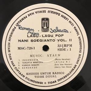 LP Indonesia「 Nani Sugianto 」Tropical Urban City Funk Disco Synth Pop 80