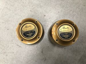 Tannoy gold 12 