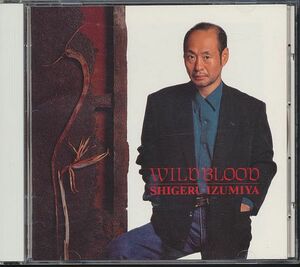 泉谷しげる CD／ワイルド・ブラッド 1993年 廃盤