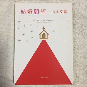 結婚願望 (角川文庫) 山本 文緒 9784041970119