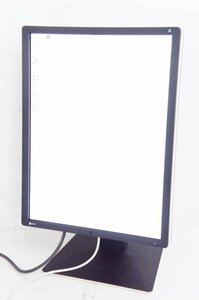 2 EIZO RadiForce RX250 21.3型 カラー液晶モニター