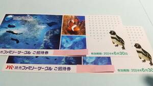 新江ノ島水族館 招待券 ペア　6月30日まで