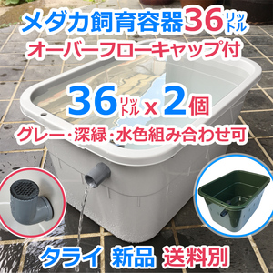 メダカ飼育容器【36㍑ グレー・深緑・水色選択可 2個 オーバーフローキャップ付】送料別 メダカ飼育ケース 屋外越冬 タライ【五色アクア