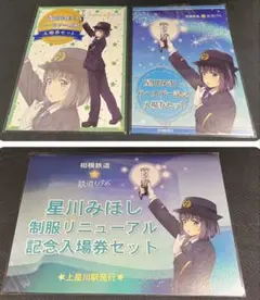 相模鉄道 相鉄 星川みほし 記念入場券 3点セット