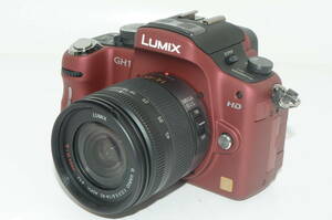 【外観特上級】Panasonic LUMIX DMC-GH1 / 14-45mm F3.5-5.6　#s10647