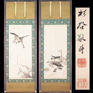 【真作】【渡鹿庵】[杉谷雪樵] 13292 名品 掛軸 日本画 双幅 芦雁図 合箱 紙本 花鳥図 熊本 肥後 雲谷派 在銘