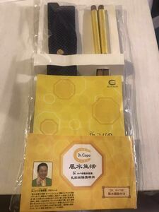 未使用　Dr.コパの風水生活　お箸と袋　セット　金運アップ　おはし　送料120円 即決あり