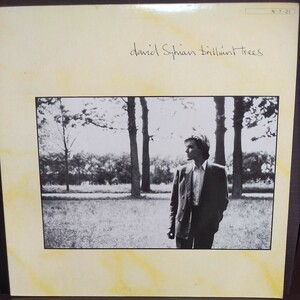 LP 国内盤/DAVID SYLVIAN BRILLIANT TREES