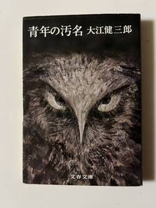 大江健三郎『青年の汚名』（文春文庫、1977年、3刷）、カバー付き。254頁。カバー・司修。