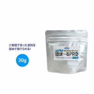 PROST’s 塗料固化剤 固まーるPRO 30g Z30