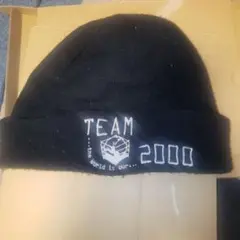 最終価格　アリストトリスト　TEAM2000 ニット帽