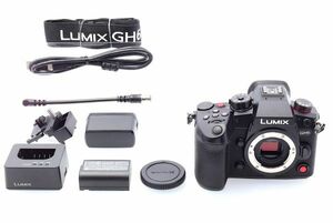 【ほぼ新品】 ショット数2,314枚！PANASONIC GH6 ボディ ブラック DC-GH6 パナソニック　ミラーレス一眼