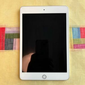 【美品ですがジャンク】Apple iPad mini 5 Wi-Fiモデル 純正のACアダプタ、ケーブル付き