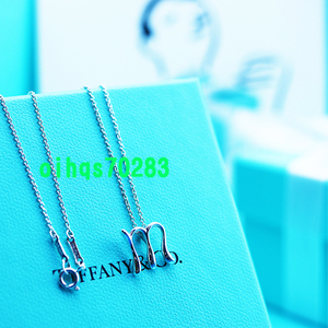 ♪即決♪新品　未使用 TIFFANY &Co. ティファニーイニシャルMネックレス