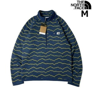 1円～!売切!【正規新品】THE NORTH FACE◆PRINTED GORDON LYONS 1/4-ZIP フリース US限定 ロゴパッチ 茶タグ 裏起毛(M)青 総柄 181024-15