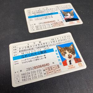 Y830 【 なめ猫 】 免許証 ２枚 昭和レトロ 「トラ助」「どら吉」 なめられたら無効 現状品 ビリヤード なめんなよ なめ猫 ★送料185円★