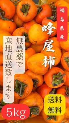 【秋の味覚の王様】天然・無農薬栽培！干し柿の最高峰｜蜂屋柿（はちやがき）送料無料