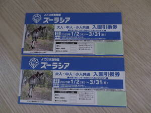 ①未使用　よこはま動物園　ズーラシア　入園引換券　2枚セット（大人・中人・小人共通）　有効期間2025年1/2（木)～3/31(月)