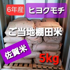 令和6年産棚田育ちのヒヨクモチ5kg 新米