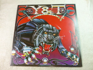 Y&T/BLACK　TIGER　日本盤　帯なし LP