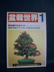 ★　盆栽世界　★　1988年 1月号