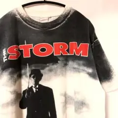 90s ヴィンテージ　the storm アルバム　音楽　ロック　バンド　T