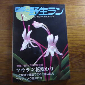 ＹＮ1-240910☆自然と野生ラン 2009年6月号　※ フウラン 花蓮 ウラシマソウ