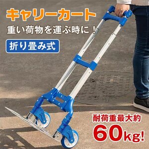 送料無料 キャリーカート キャリーワゴン 台車 荷物運び 折りたたみ 耐荷重60kg キャンプ アウトドア 災害時 買い物 旅行 軽量 ad224