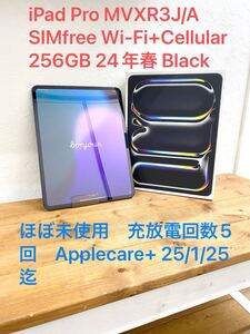 ☆ほぼ新品☆ 充放電5回 iPad Pro 13インチ Wi-Fi+Cellular 256GB 2024年春モデル MVXR3J/A SIMフリー スペースブラック Applecare+1/25迄