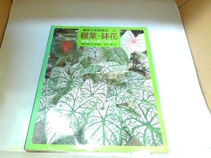 趣味の家庭園芸3　観葉・鉢花　山と渓谷社　ヤケ・シミ有 1981年4月1日 発行