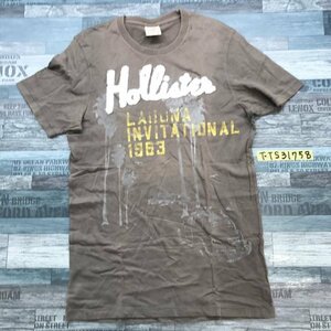 Hollister ホリスター メンズ ロゴワッペン 半袖Tシャツ M ブラウン