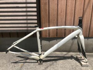 specialized SECTEUR sport サイズS フレーム　アルミ