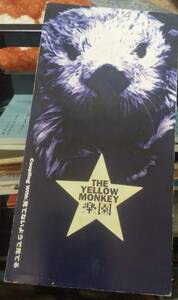 THE YELLOW MONKEY 楽園 CDS