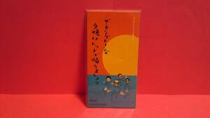 ザ・キングトーンズ「夕焼けレッドで帰りましょう/ウインク100万％」未開封 8cm(8センチ)シングル