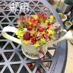 そのまま飾れる多肉植物寄せ植え　猫ちゃんジョーロ　管理書付