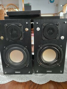 NS-10MM中古！