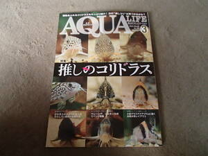 月刊 アクアライフ 2024 3 No.536 エムピージェー コリドラス 書籍 本