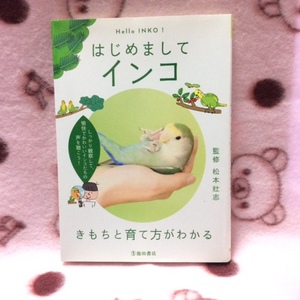 はじめましてインコ★きもちと育て方がわかる★監修・松本壮志