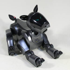 メンテナ完 AIBO ERS-210（本体色ブラック） 【動作品】 動画公開中 バッテリーリセル済