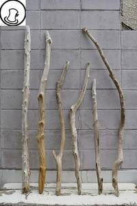 SEASIDEinterior☆荒っぽい、少々長めの流木6本セット,Cool driftwood for decorating 129