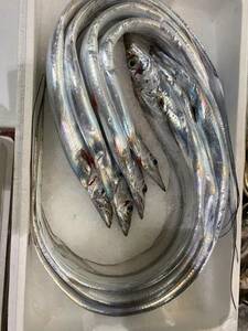 太刀魚 約１kg （約２尾入） たちうお タチウオ