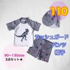 【110サイズ】男の子ダイナソー柄スイムウェアセットアップ　水着　恐竜柄　キッズ