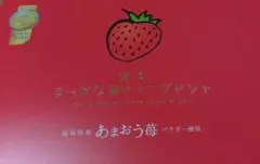 まっかな苺のランドクシャ　24枚　チョコレート菓子　新品新品