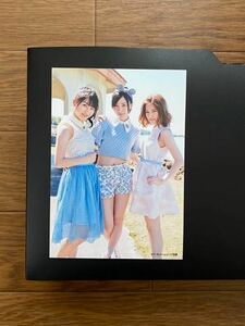 AKB48 島崎遥香 横山由依 SKE 松井珠理奈 写真 ラブラドール レトリバー セブンネット