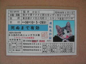 元祖 なめ猫 なめんなよ 昭和当時物 なめねこ免許証... 7390