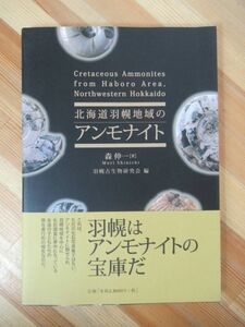 M32●北海道羽幌地域のアンモナイト 森伸一 図鑑 日本の化石 真珠光沢 ノジュール フィロパキセラスエゾエンセ 鉱物 化石 岩石 標本 230725