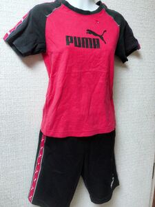 ☆ pumaＴシャツ上下セット 140cm 美品