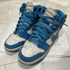 NIKE スニーカー 水色 25.5㌢